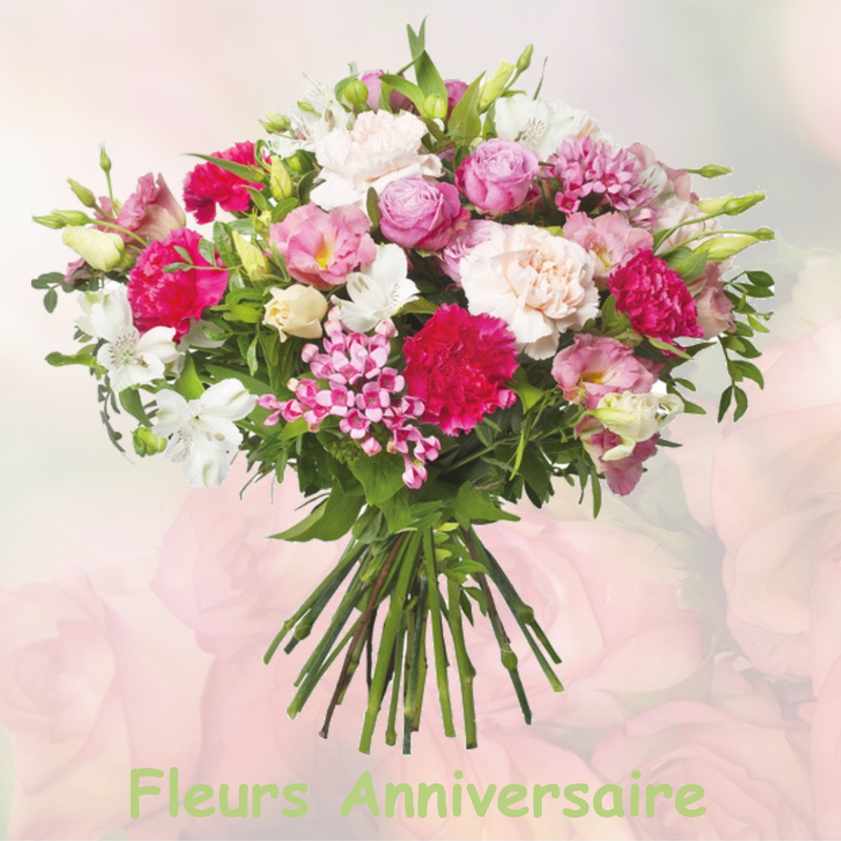 fleurs anniversaire VITRY-SUR-LOIRE
